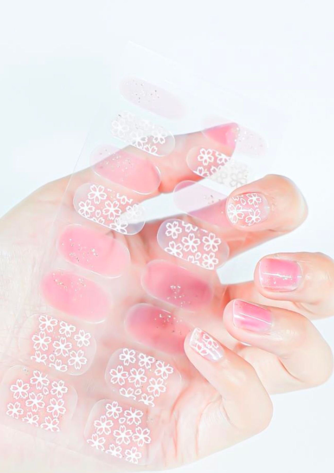 Cherry Blossoms